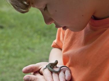 Dreng med en snog i hånden